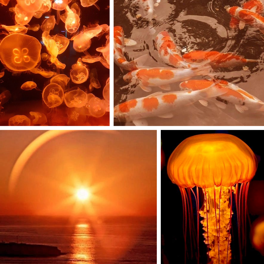 Ocean Sunset Acrylic Almond Press On Nail