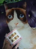 Meownail Siamese cat Acrylic Round Press On Nail - MaYonail Store