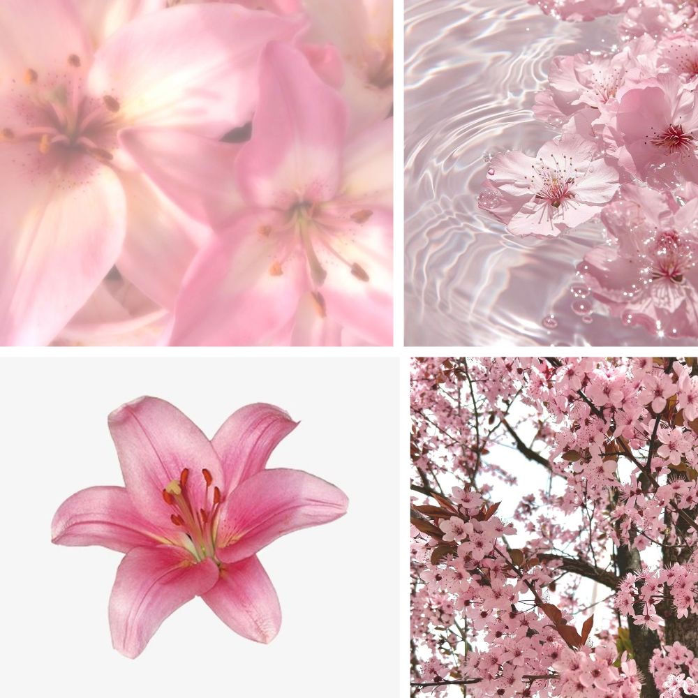 Cherry Blossom Acrylic Stiletto Press On Nail - MaYonail Store