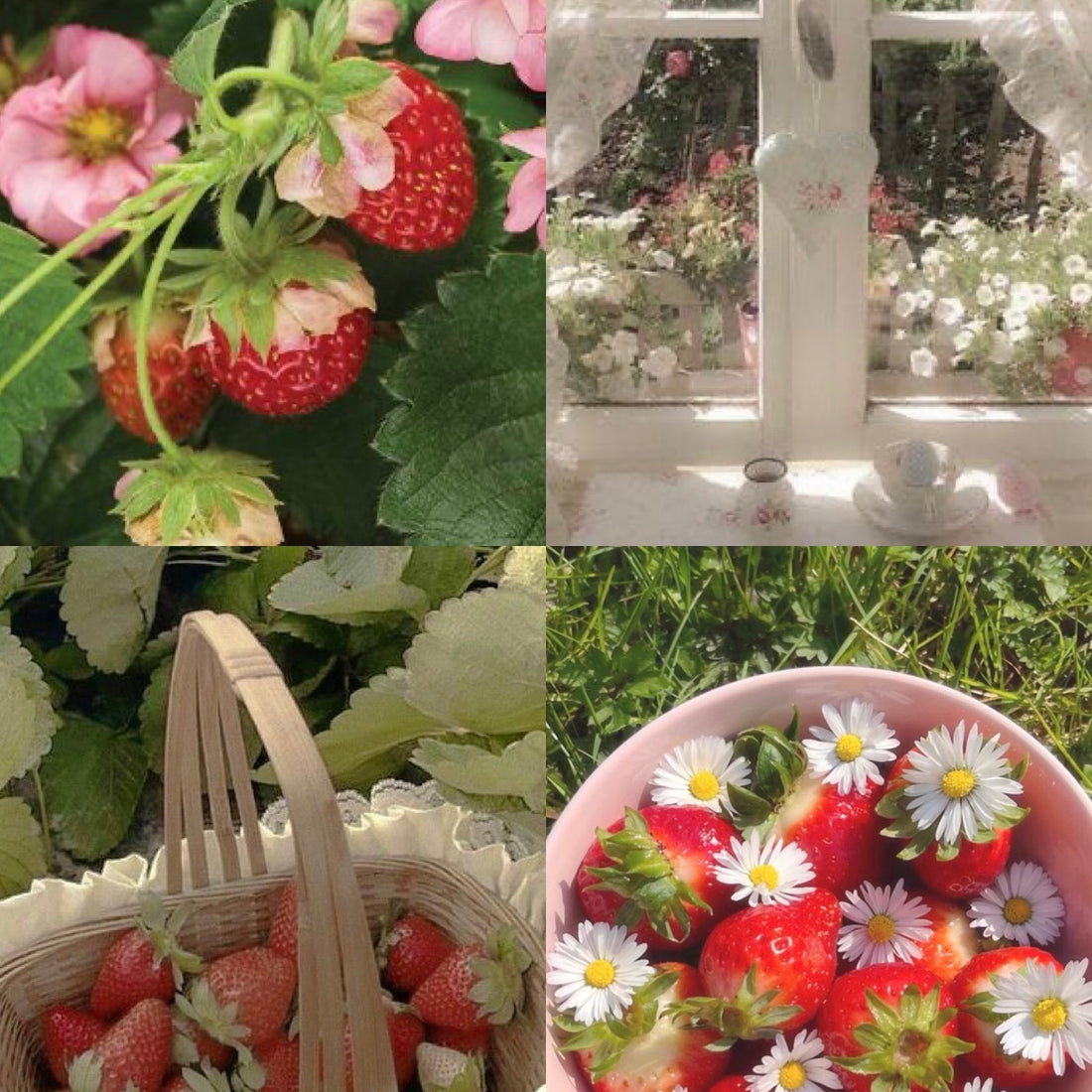 Strawberry Pink Acrylic Oval Press On Nail