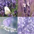 Lavender Garden Acrylic Round Press On Nail - MaYonail Store
