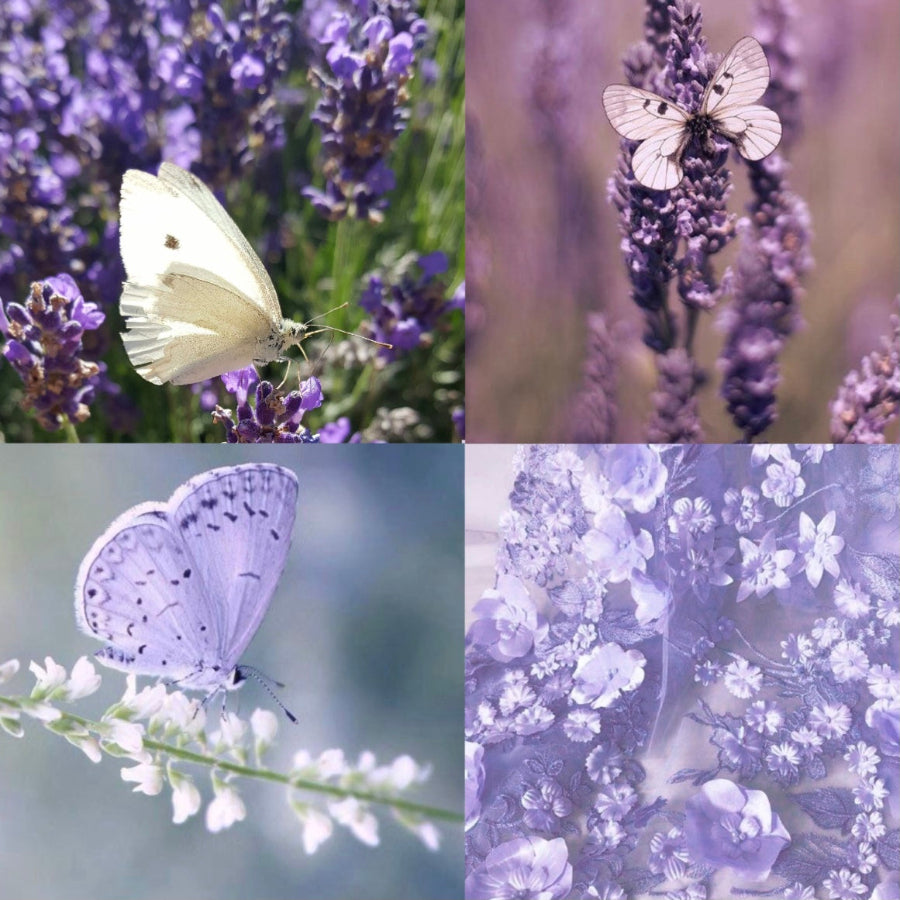 Lavender Garden Acrylic Round Press On Nail - MaYonail Store