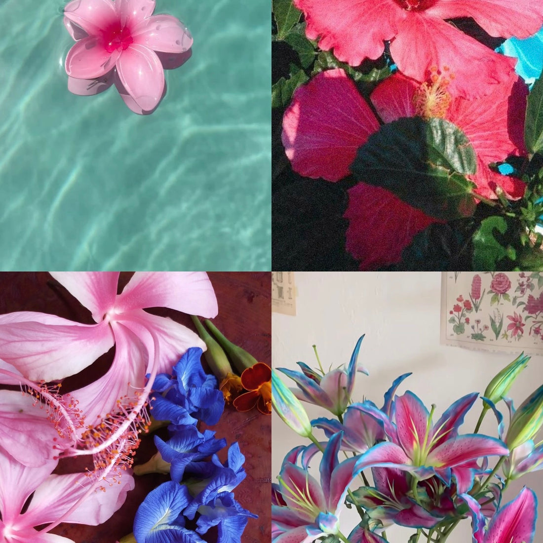 Tropical Flowers Acrylic Almond Press On Nail