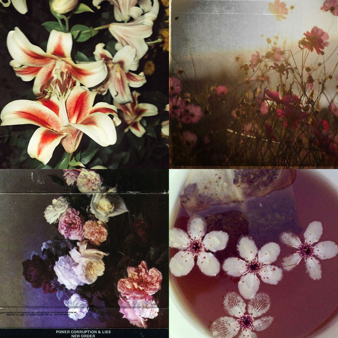 Floral Tea Acrylic Almond press On Nail - MaYonail Store