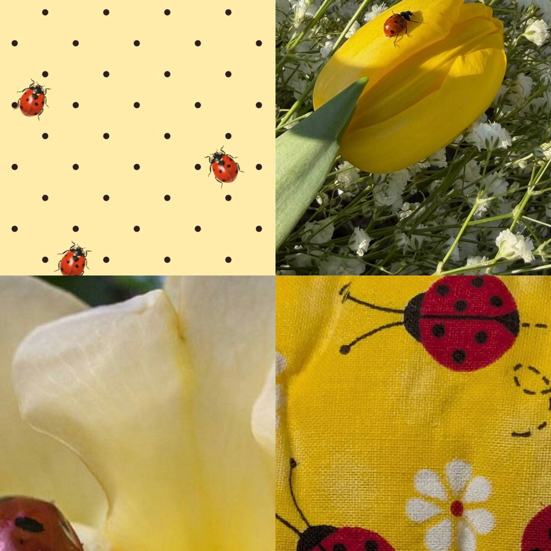 Yellow Ladybug Polka Acrylic Duck press On Nail L21