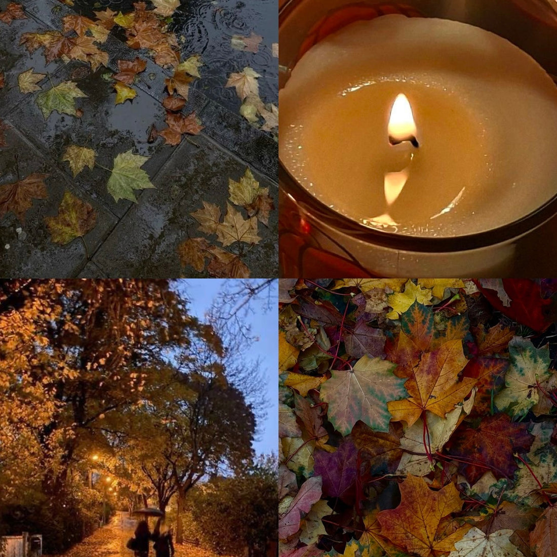 Autumnal Flower Acrylic Almond Press On Nail