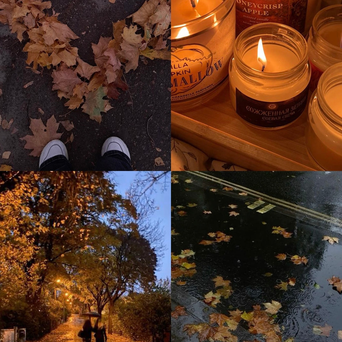 Autumnal Acrylic Stiletto Press On Nail