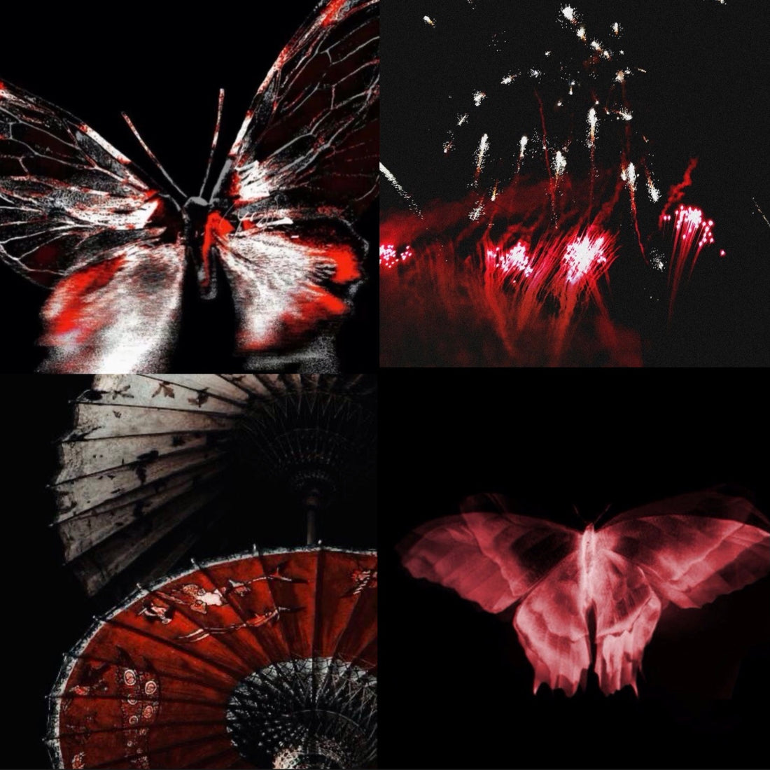 Enflamed Butterfly Acrylic Square Press On Nail
