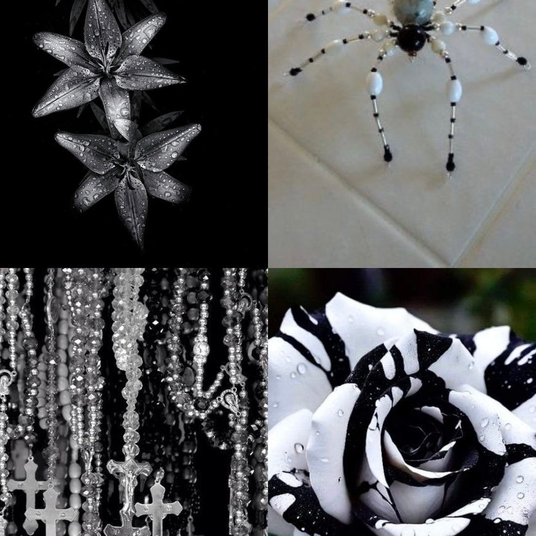 Pentagram Acrylic Stiletto Press On Nail