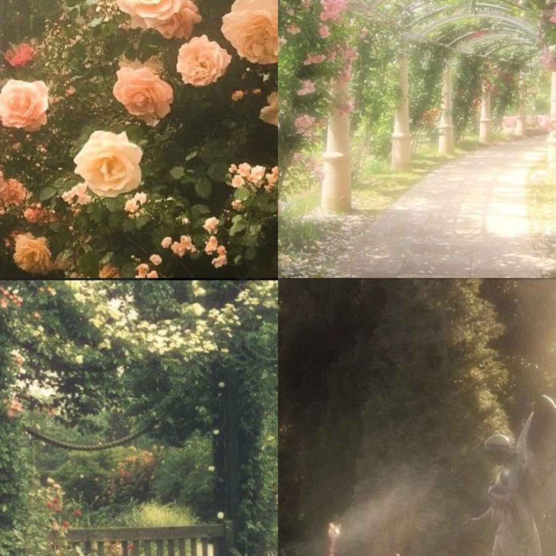 Cottage Roses Acrylic Square Press On Nail