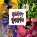 Busy Garden Acrylic Almond Press On Nail - MaYonail Store