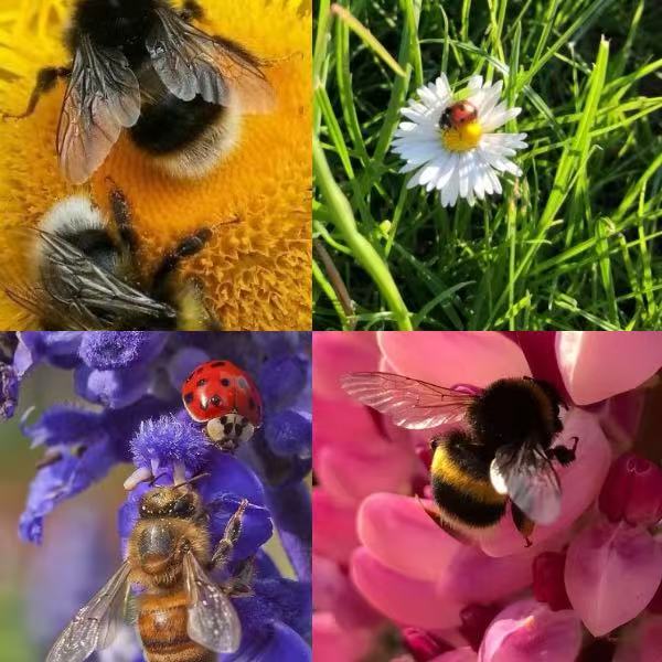 Busy Garden Acrylic Almond Press On Nail - MaYonail Store