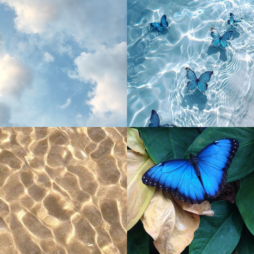 Blue Sky Butterfly Acrylic Square Press On Nail - MaYonail Store