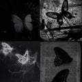 Noir Butterfly Acrylic Long Almond Press On Nail - MaYonail Store