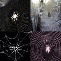 Spider Acrylic Coffin Press On Nail - MaYonail Store