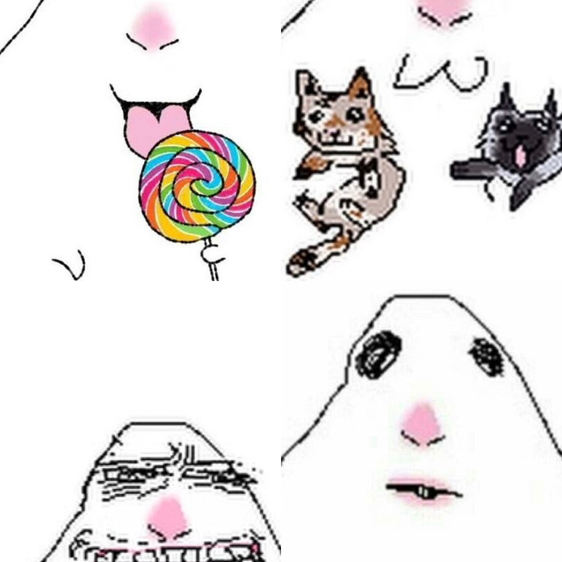 Silly Hamster Acrylic Almond Press On Nail L299
