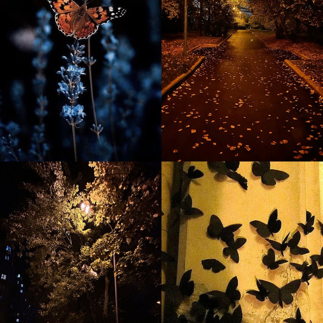 Gothic Autumn Acrylic Square Press On Nail