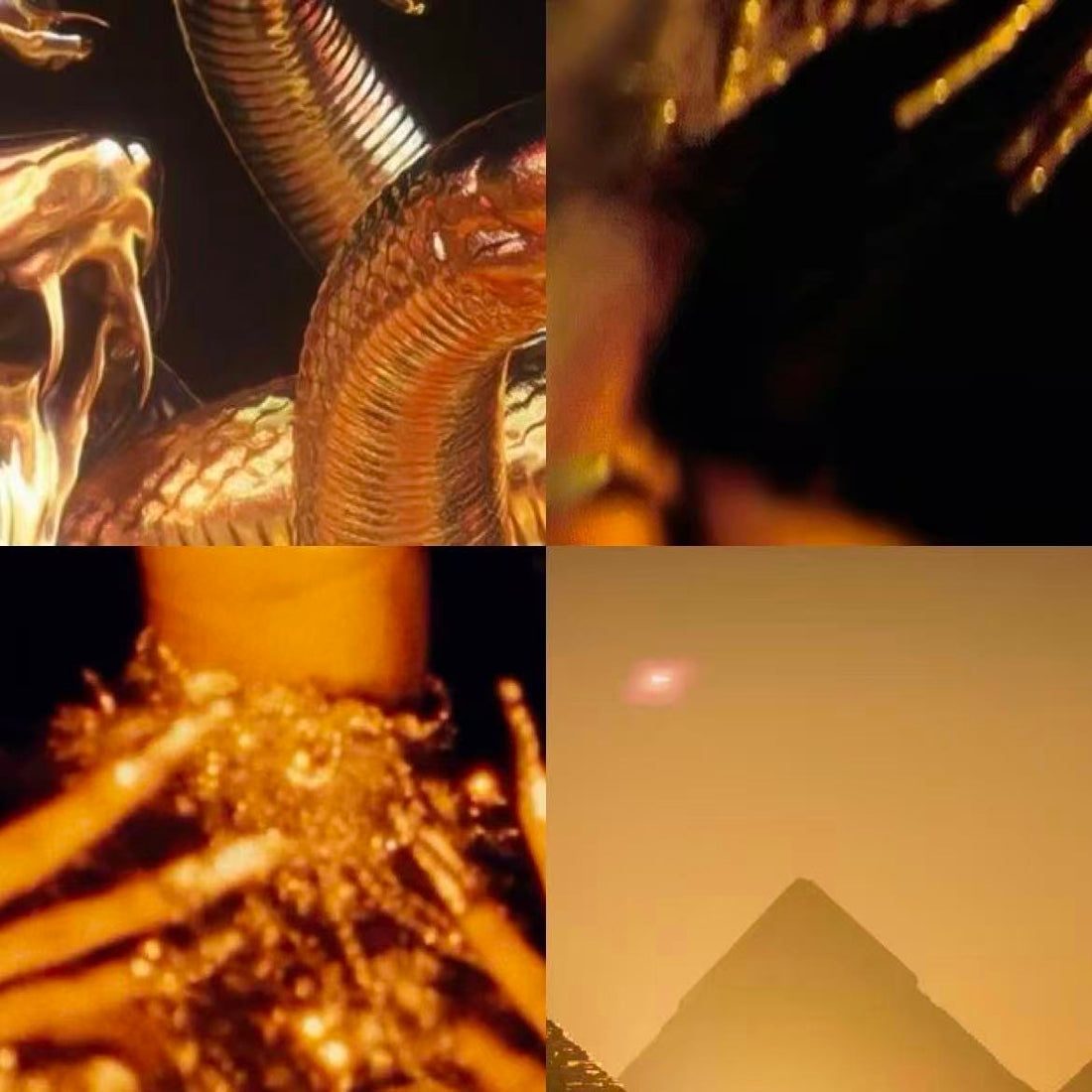 Pharaohs Gold Acrylic Square Press On Nail