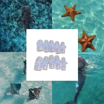 Starfish Beach Acrylic Coffin  Press On Nail