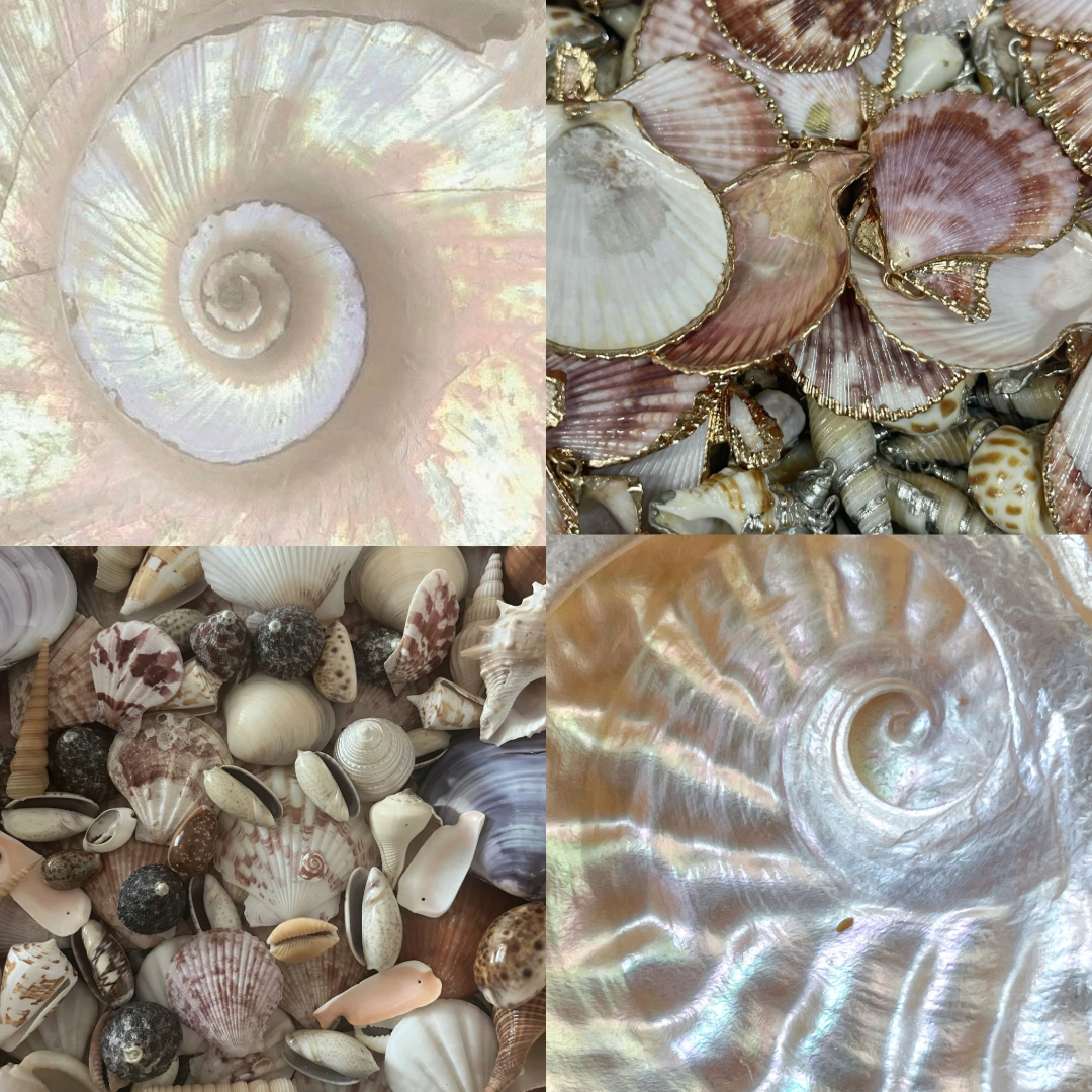 Seashell Acrylic Almond Press On Nail - MaYonail Store