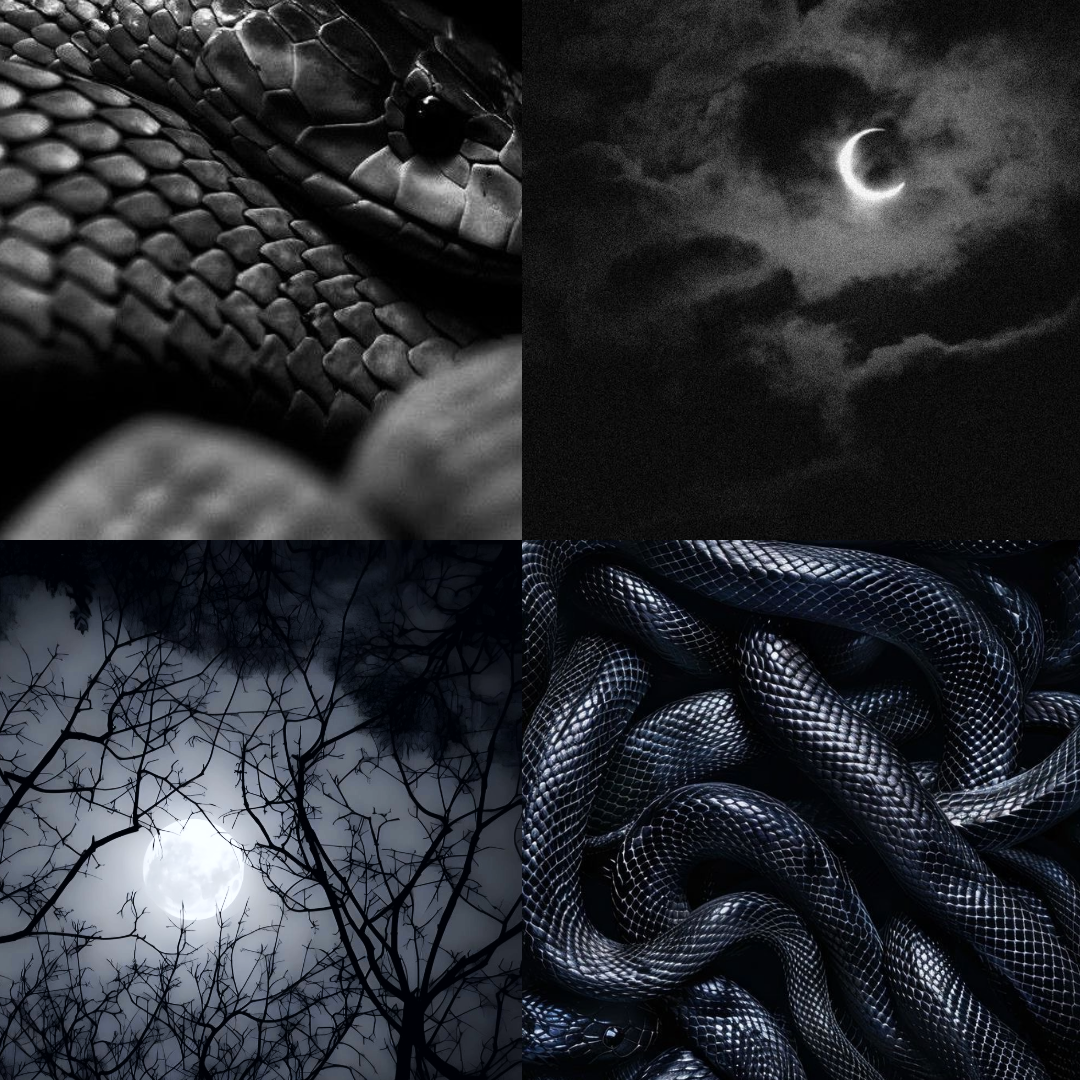 Serpent Moon Acrylic Coffin Press On Nail - MaYonail Store