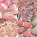 Strawberry Dreams Acrylic Coffin press On Nail - MaYonail Store