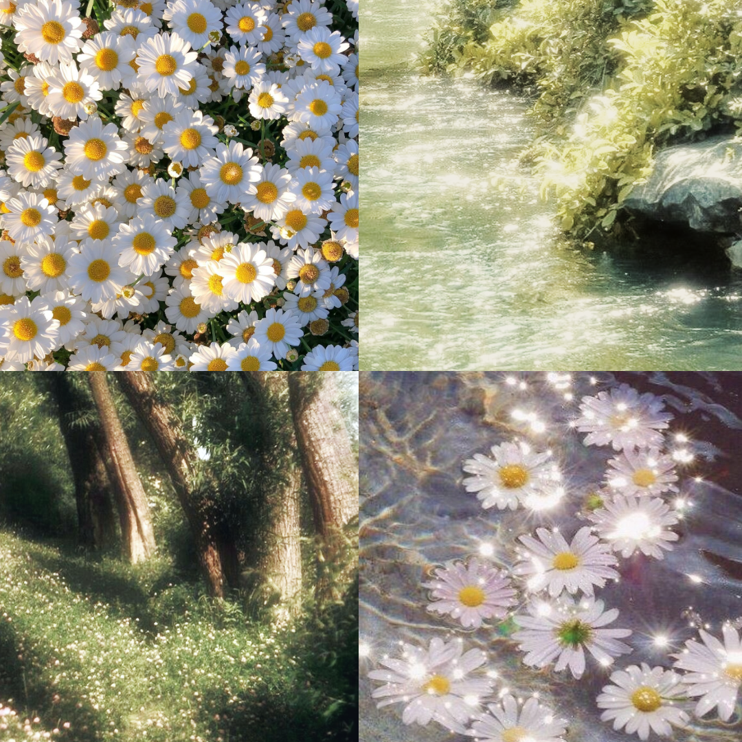 Crystal Daisies Acrylic Square Press On Nail