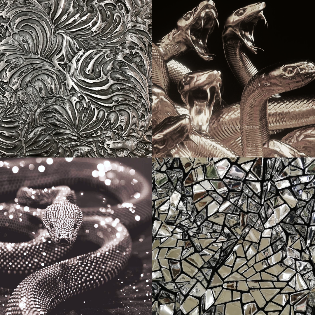 Silver Serpent Acrylic Coffin Press On Nail