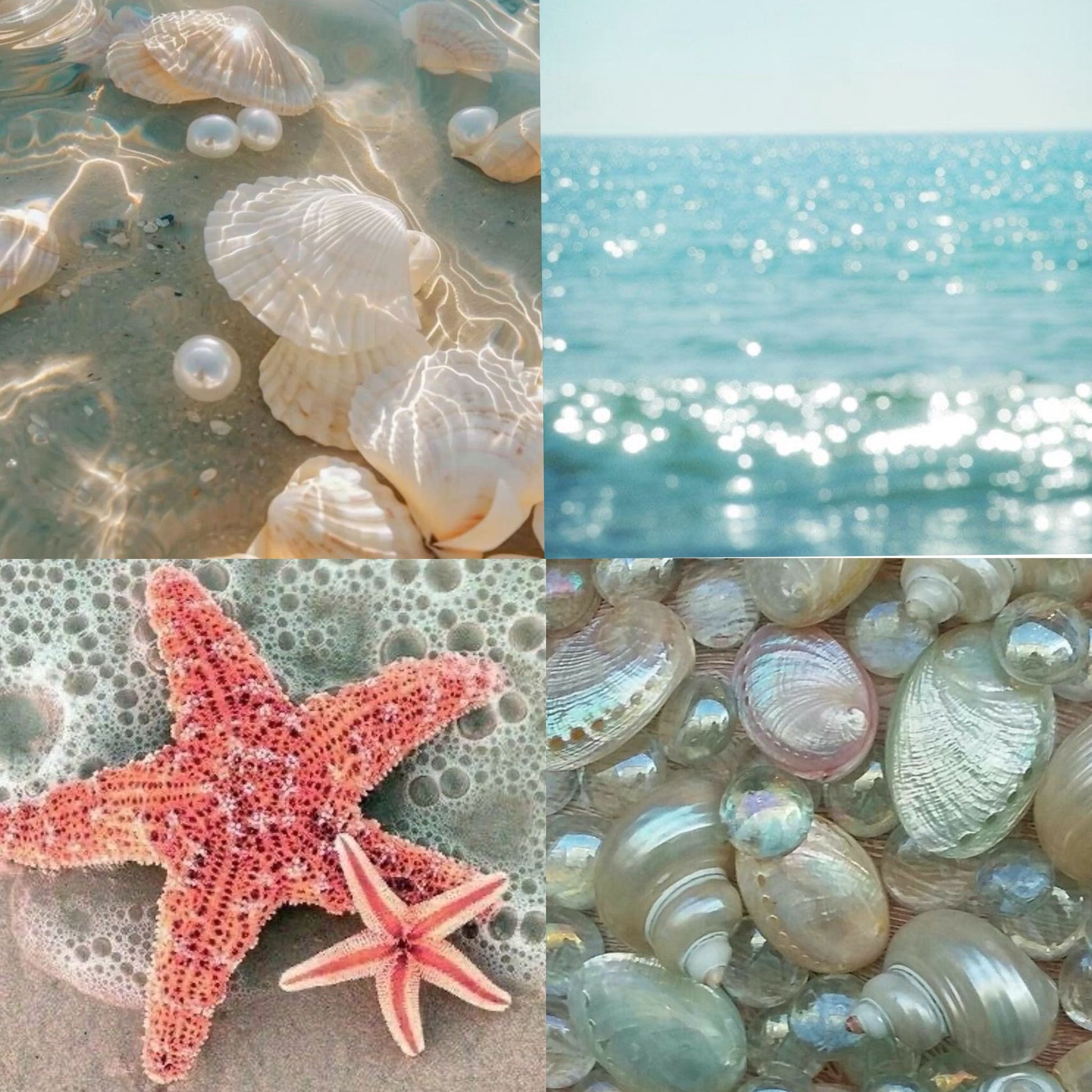 Sandy Shells Acrylic Almond Press On Nail - MaYonail Store