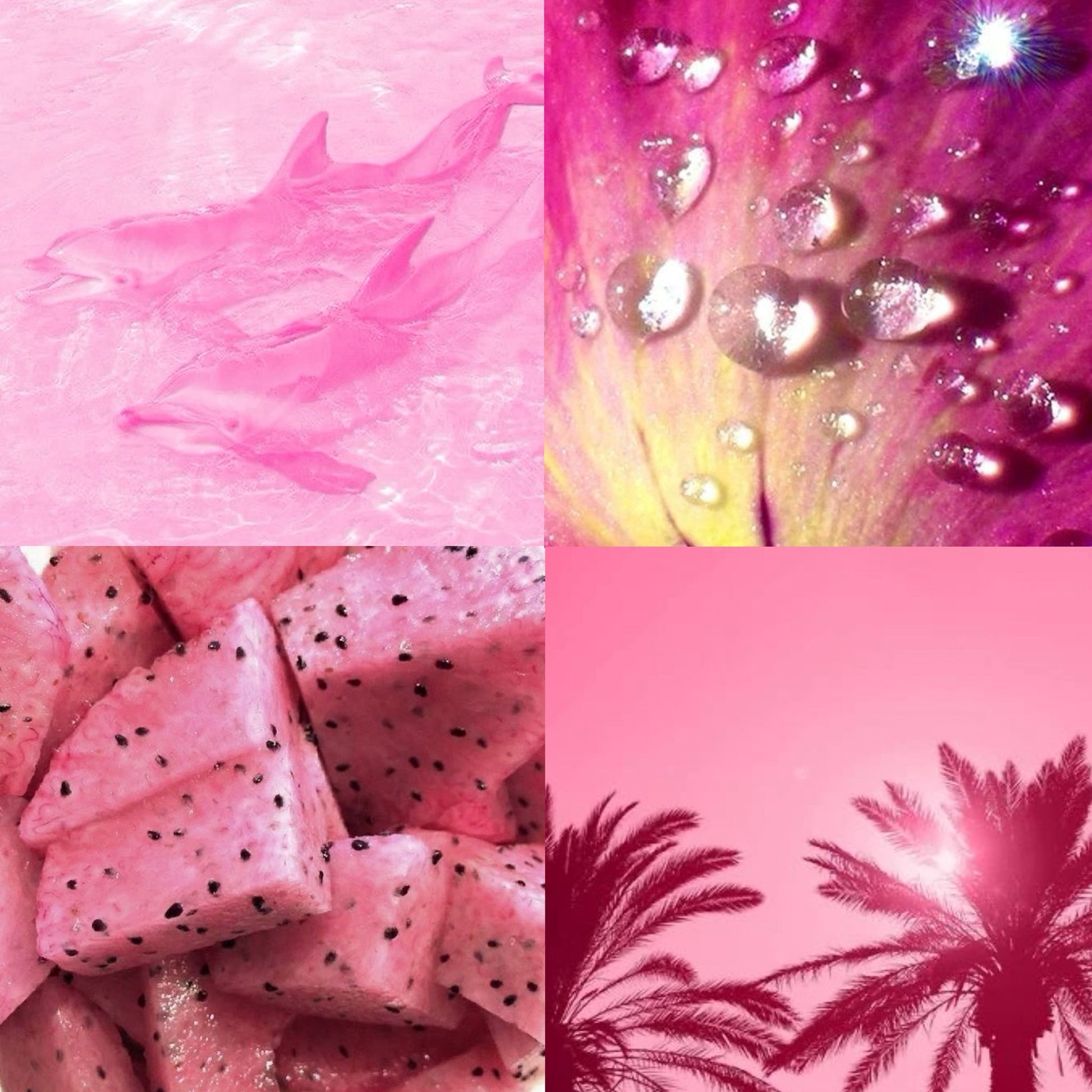Pink Summer Acrylic Almond Press On Nail - MaYonail Store