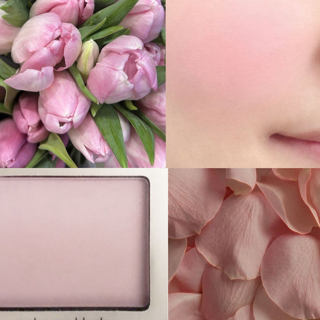 Tulip Blush Acrylic Round Press On Nail