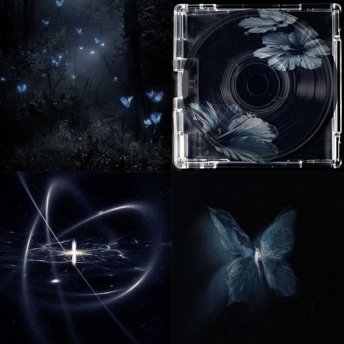 Midnight Butterfly Acrylic Coffin Press On Nail