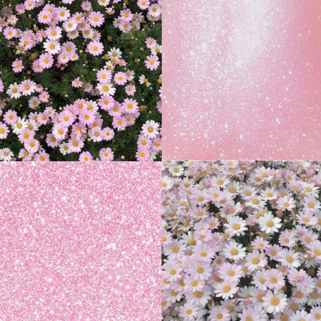 Daisy Sparkle Acrylic Square press On Nail L131