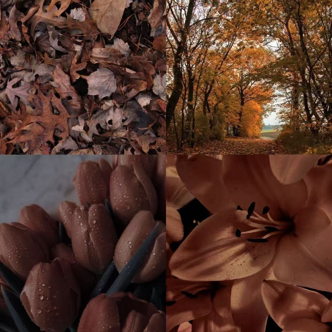 Autumnal Flower Acylic Almond Press On Nail - MaYonail Store