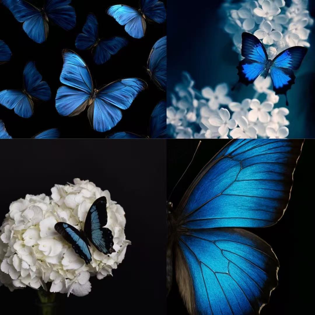 Blue Butterfly Acylic Almond Press On Nail - MaYonail Store