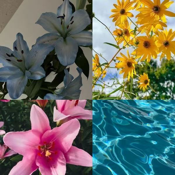 Floral Day Acrylic Almond  Press On Nail - MaYonail Store