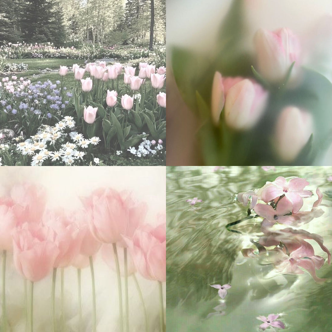 Tulips Yard Acrylic Coffin Press On Nail - MaYonail Store