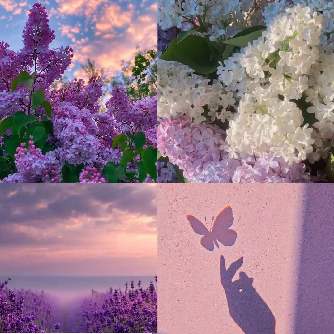 Lilac Garden Acrylic Almond Press On Nail - MaYonail Store