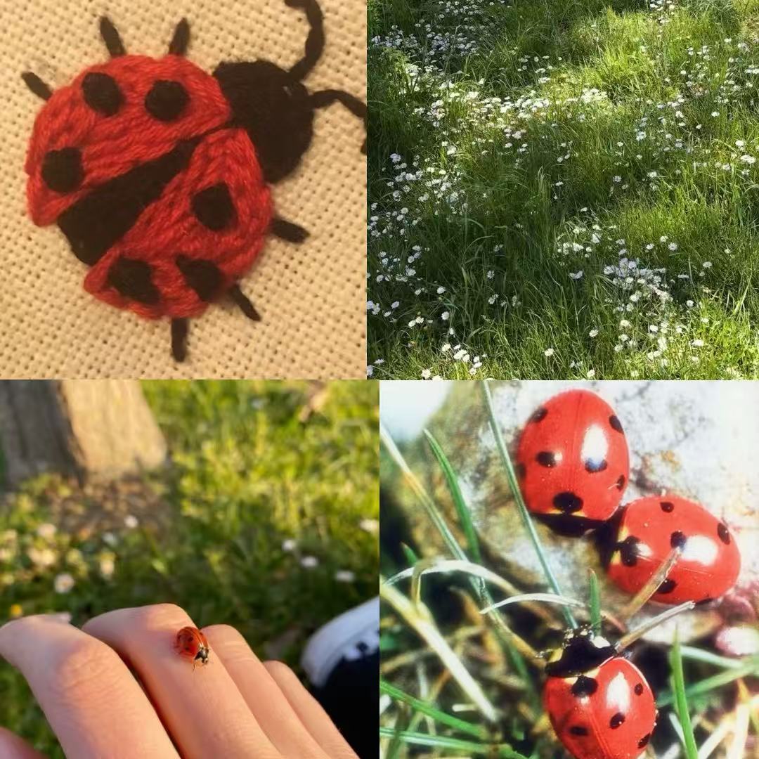 Lovebug Acrylic Almond Press On Nail