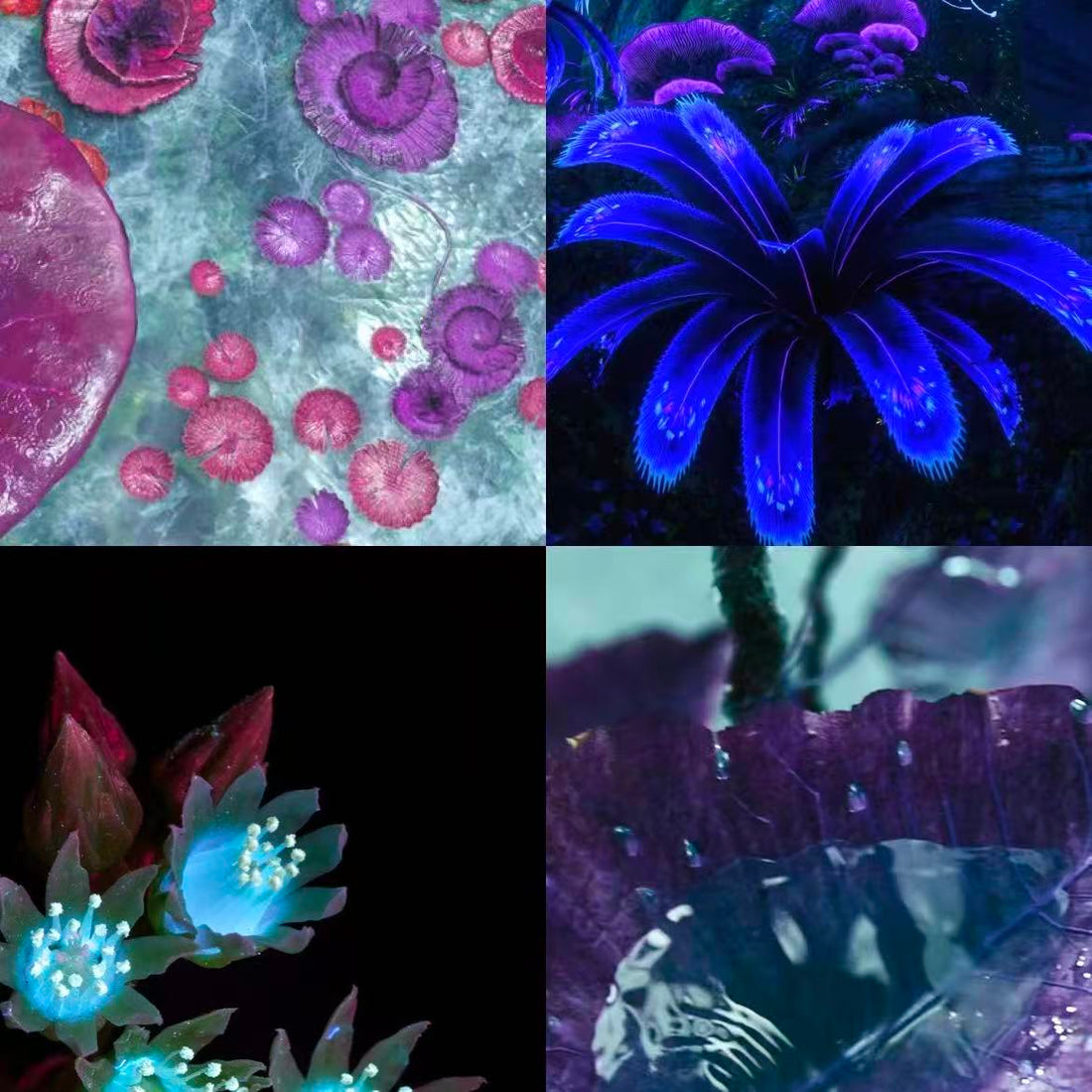 Pandora's Nature Acrylic Stiletto Press On Nail