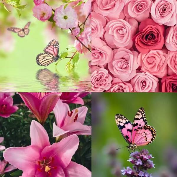 Pink Iris Acrylic Almond  Press On Nail - MaYonail Store