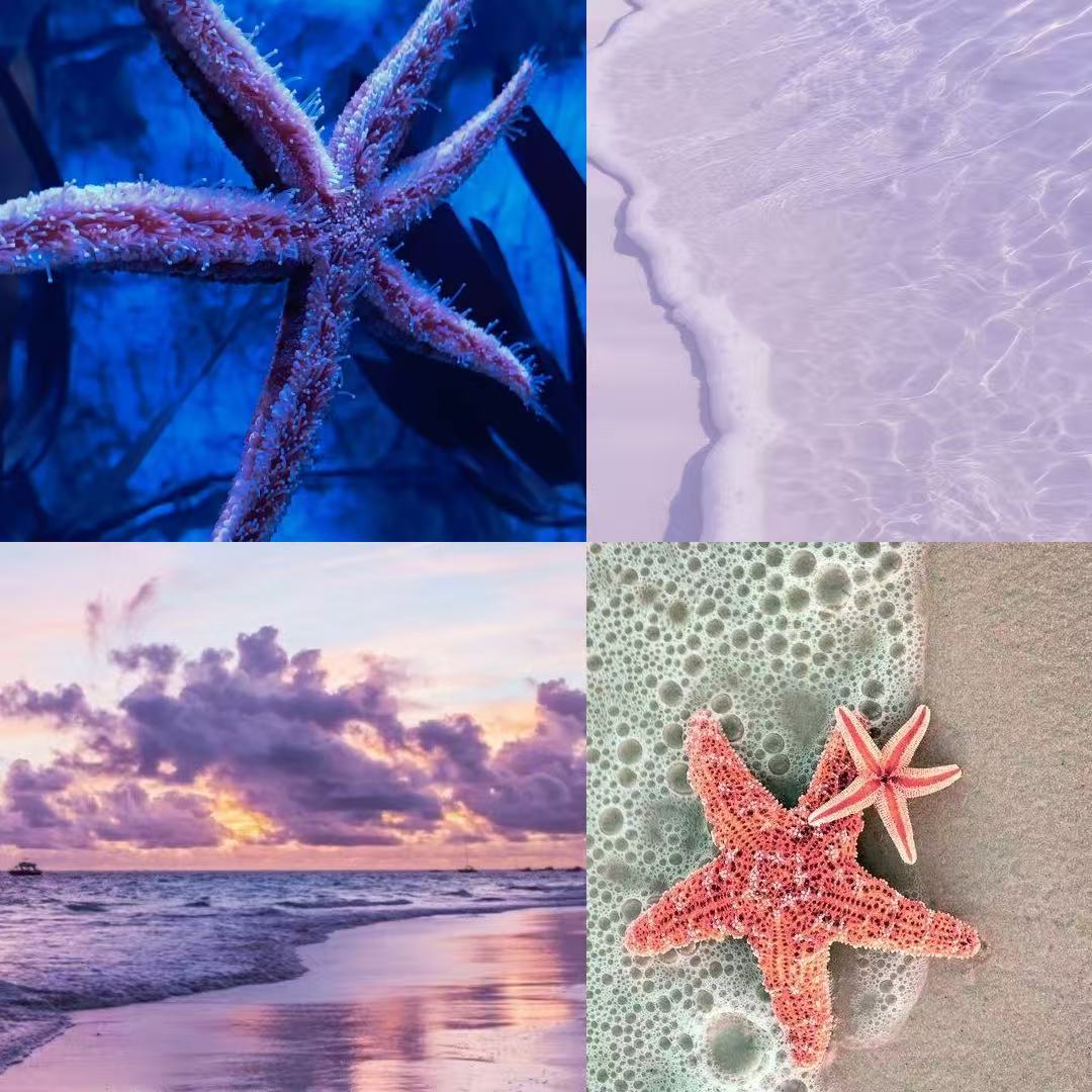 Purple Beach Acylic Square Press On Nail