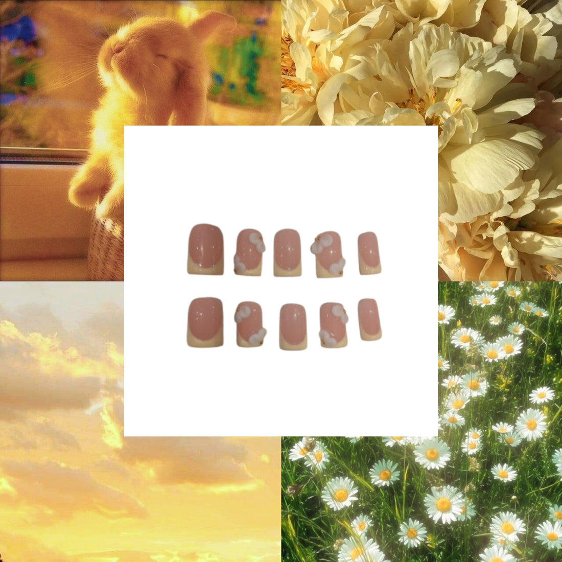 Buttercup Acrylic Square press On Nail L75 - MaYonail Store