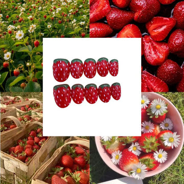 Strawberry Patch Acrylic Oval Short Press On Nail