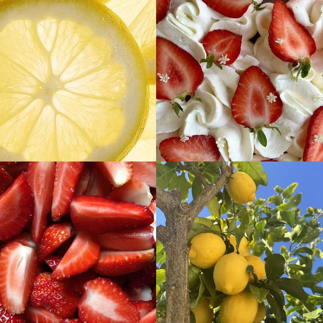 Summer Picnic Acrylic Stiletto Press On Nail