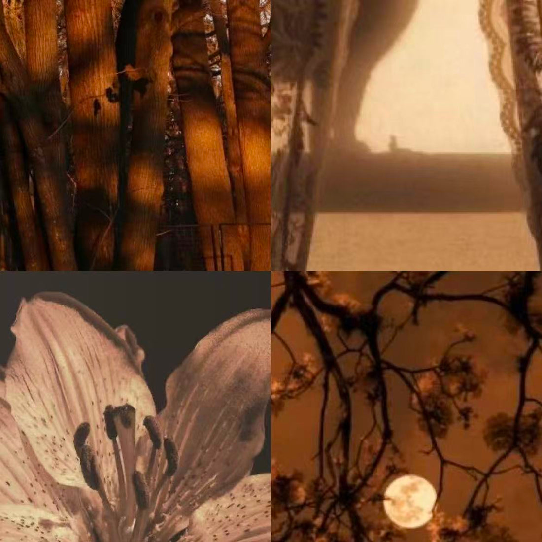 Autumn Branches Acrylic Almond Press On Nail